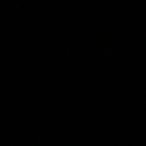 Meet your Posher, Bob